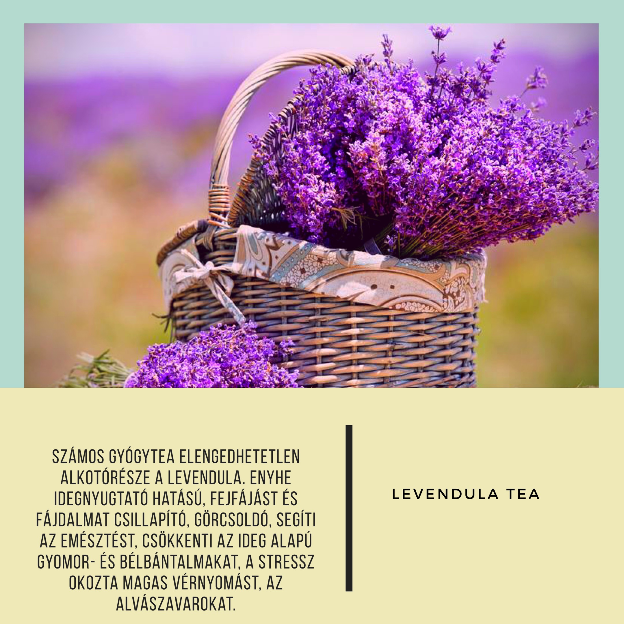 375B11CE17D3587E87C46B5F50673659.draft.96dpi